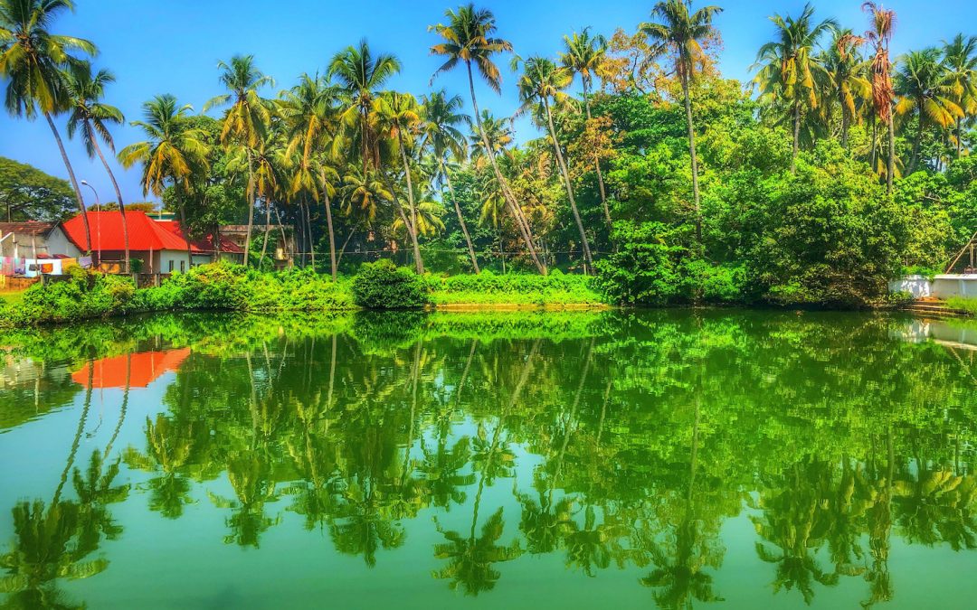 A stroll around Fort Kochi