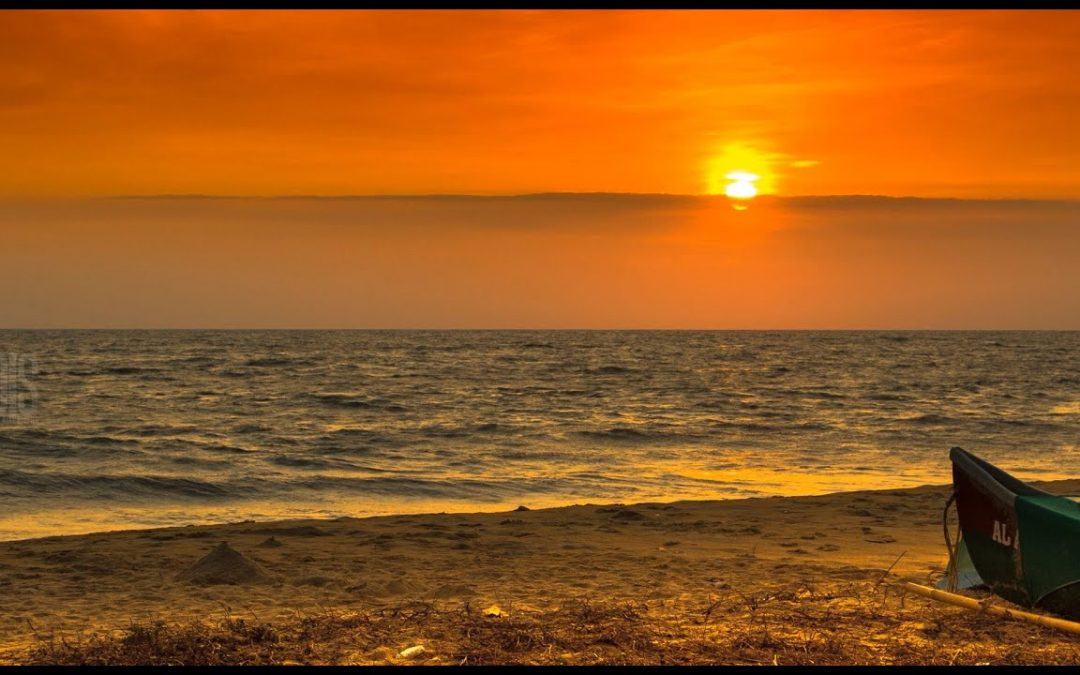 What to do and see in Calicut, Kerala, India for two days Podcast